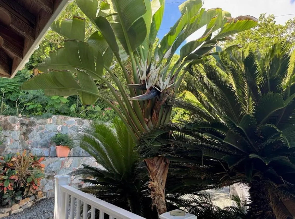 Blue Pearl Villa In St John Usvi Coral Bay 0*,  Isole Vergini (US)