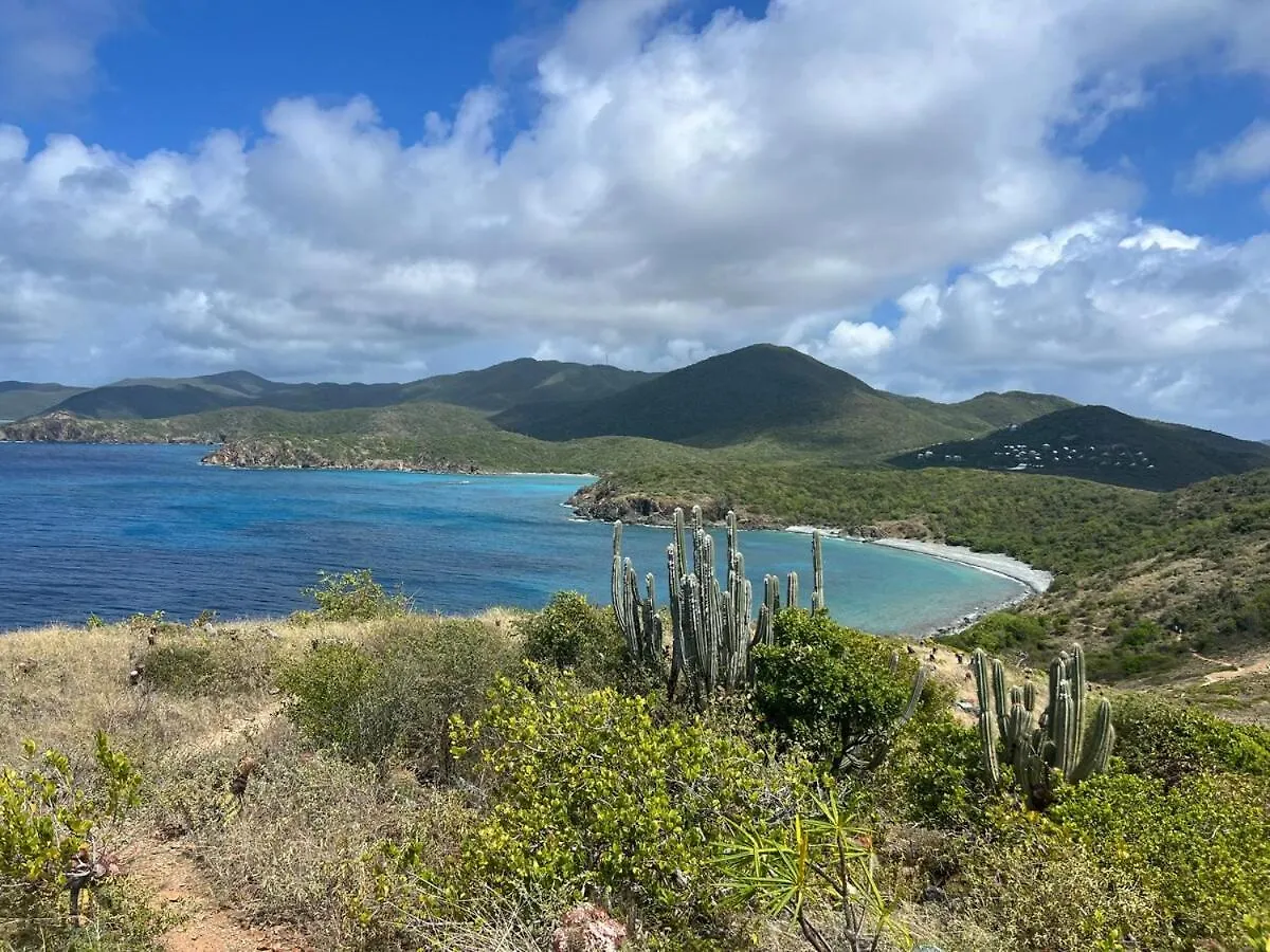 Blue Pearl Villa In St John Usvi Coral Bay Isole Vergini (US)